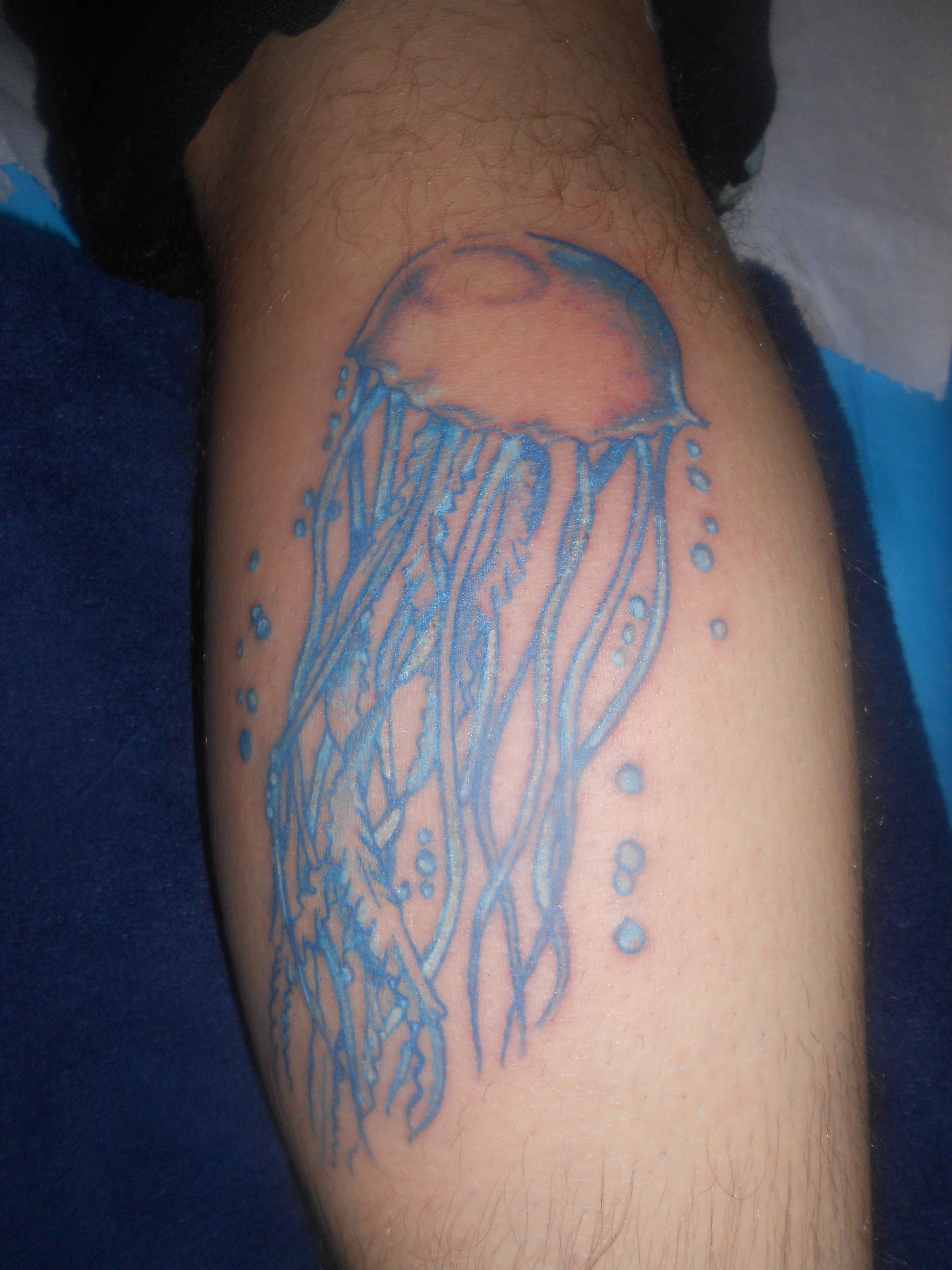 meduse nero su bianco tattoo meduse nero su bianco tattoo