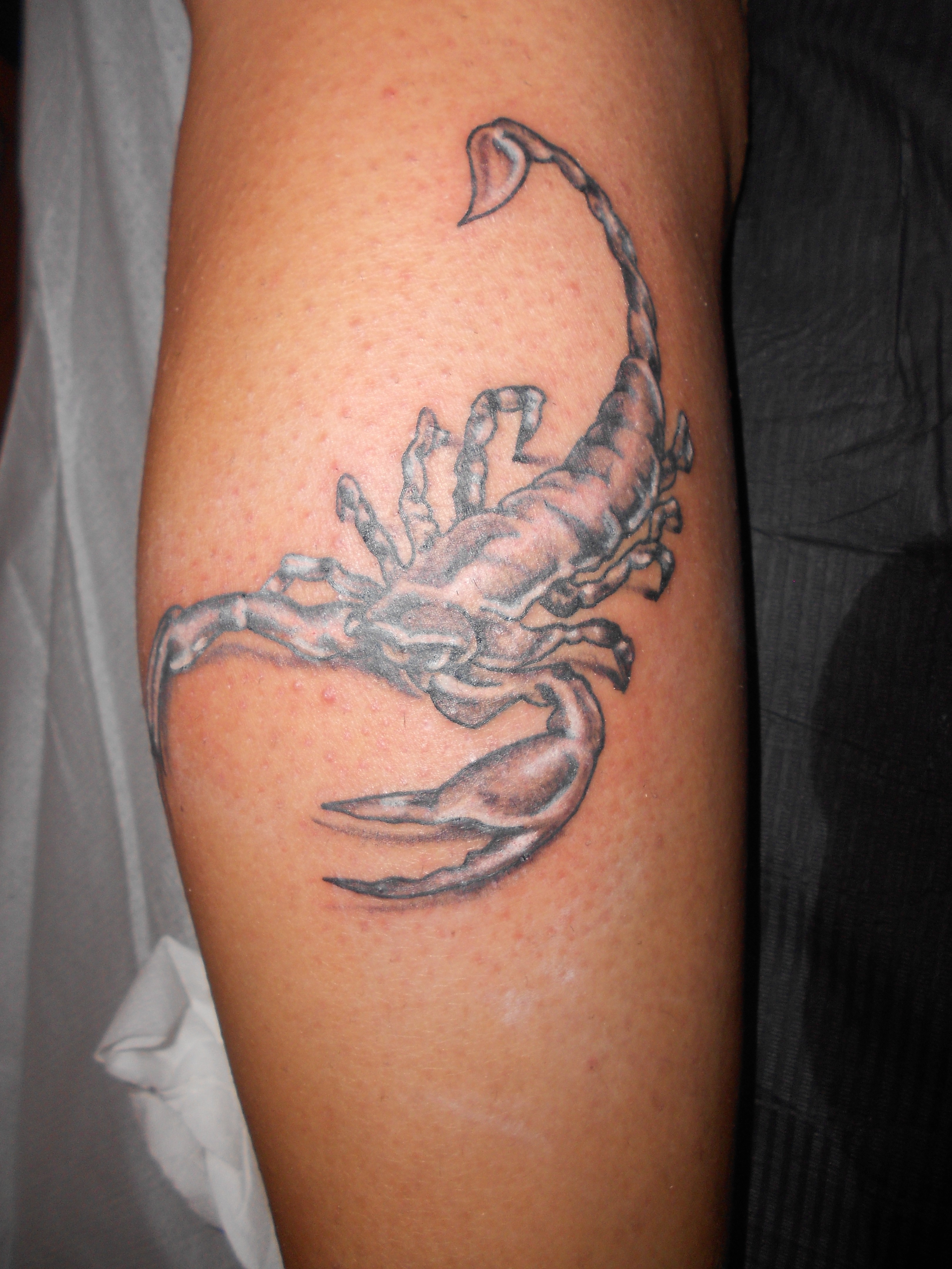 scorpione nero su bianco tattoo scorpione nero su bianco tattoo
